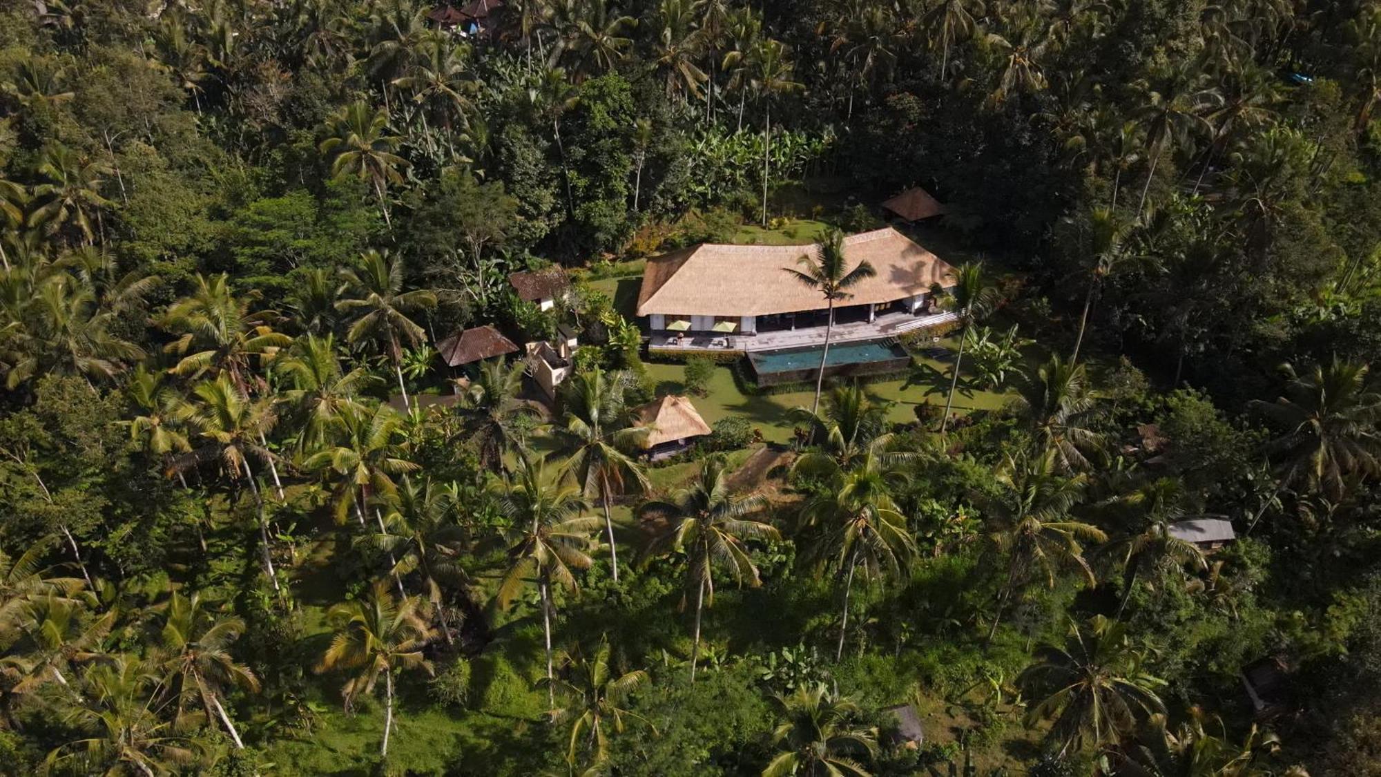 Villa Themma Jungle - Sumptuous 3Br Luxury Villa With Majestic Jungle View North Of Ubud Екстериор снимка