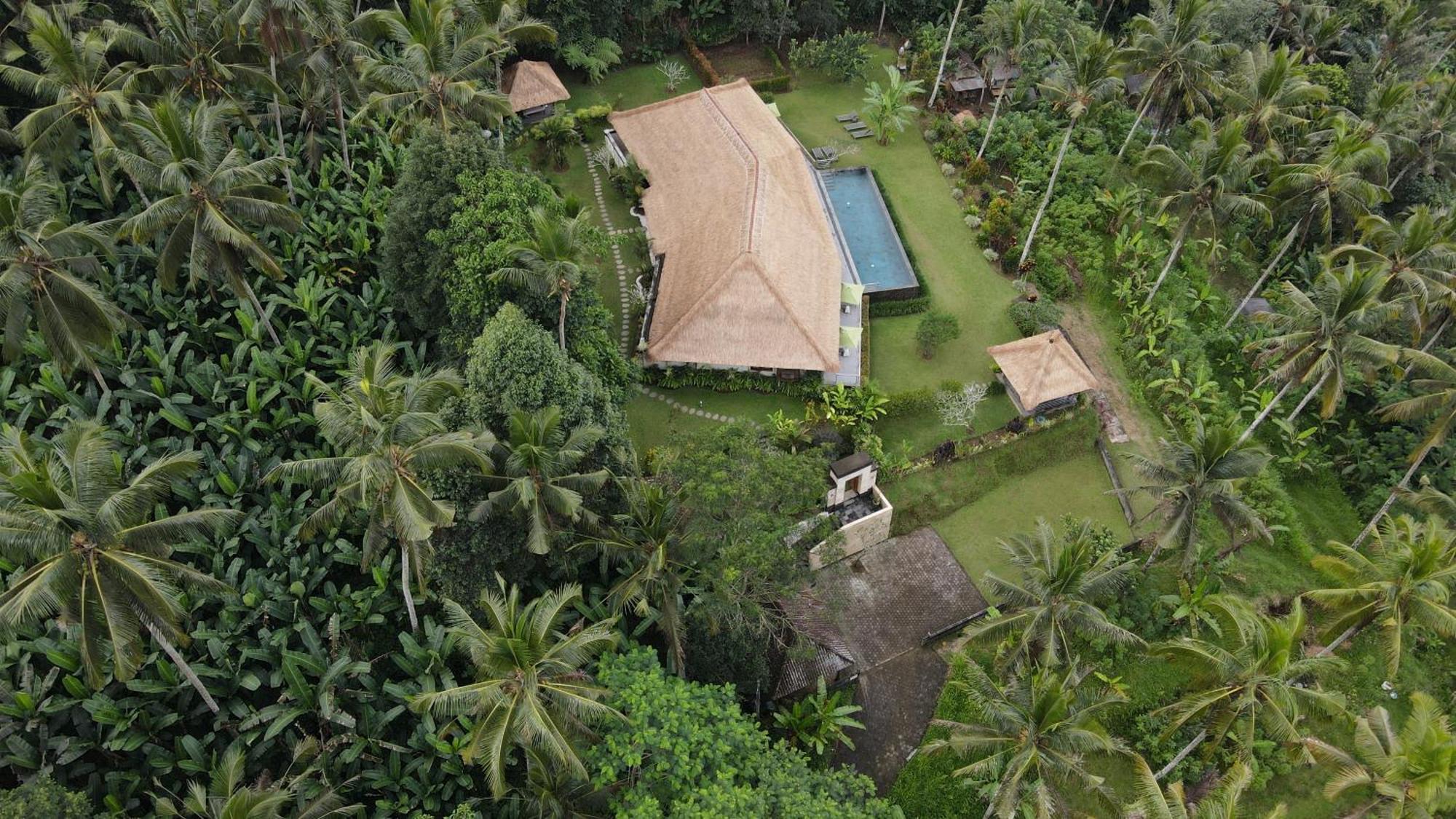 Villa Themma Jungle - Sumptuous 3Br Luxury Villa With Majestic Jungle View North Of Ubud Екстериор снимка