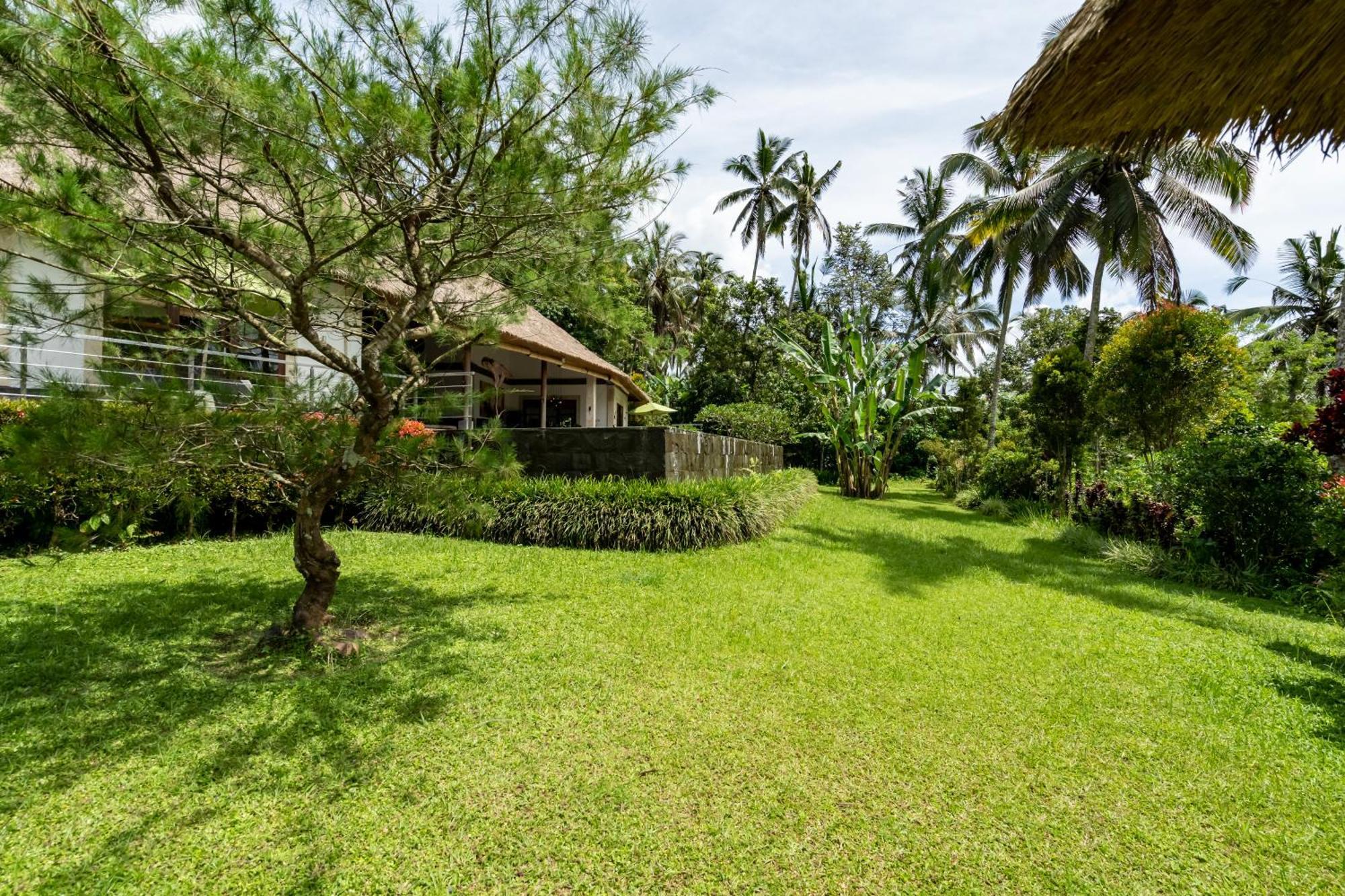 Villa Themma Jungle - Sumptuous 3Br Luxury Villa With Majestic Jungle View North Of Ubud Екстериор снимка