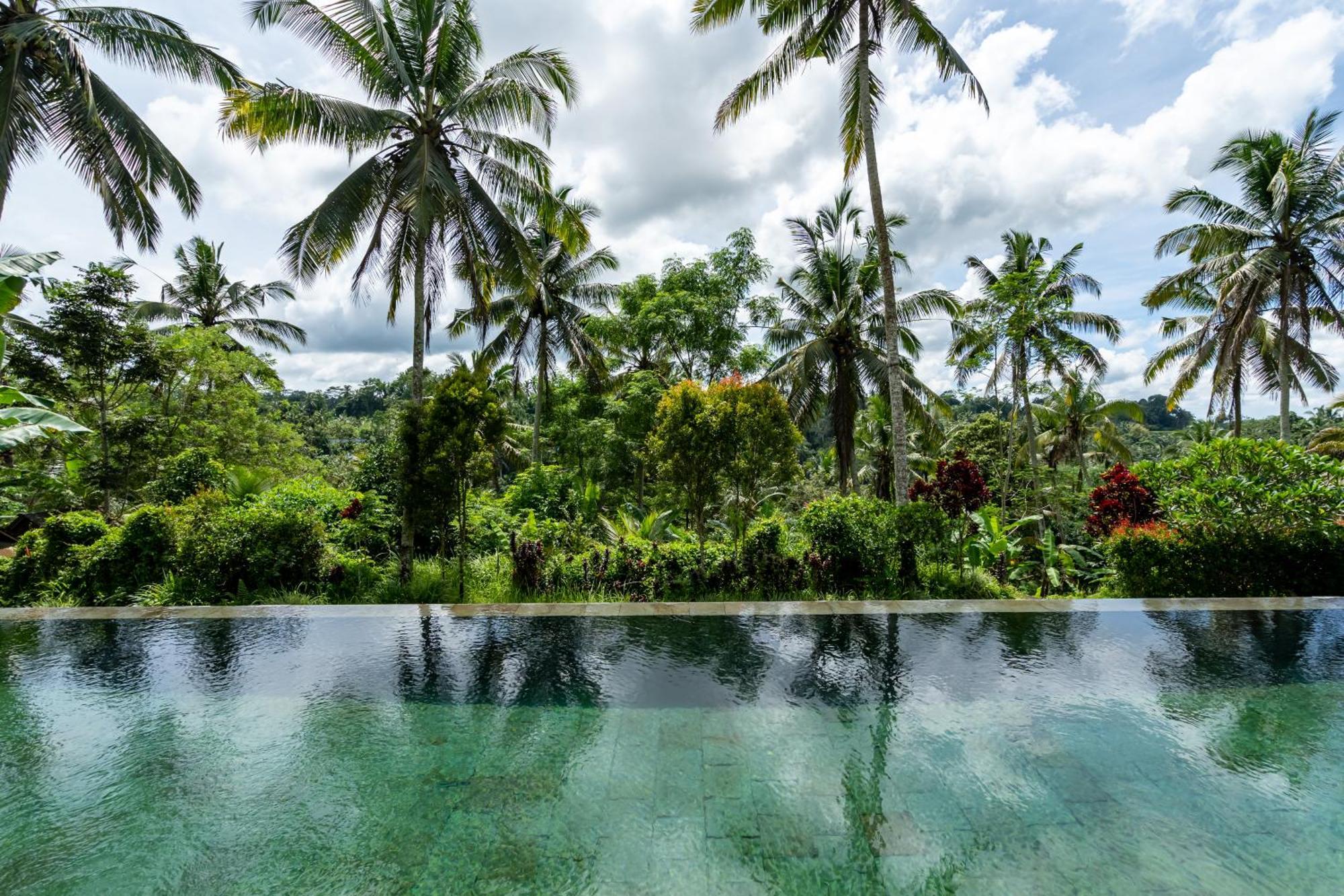 Villa Themma Jungle - Sumptuous 3Br Luxury Villa With Majestic Jungle View North Of Ubud Екстериор снимка